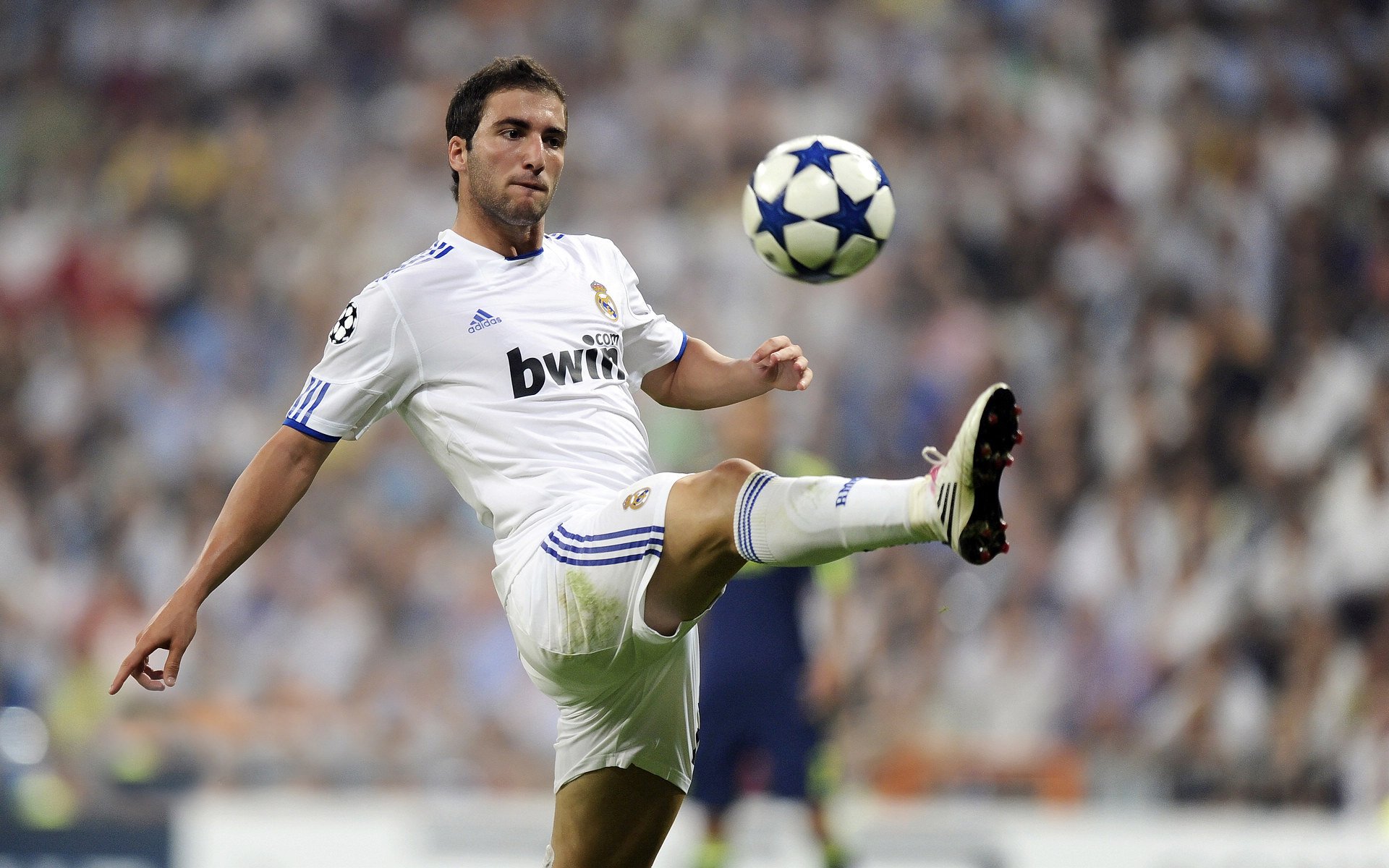 欧洲杯的社交媒体营销趋势分析，社交媒体营销现状