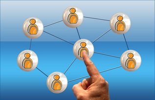 俱乐部推出粉丝互动日 活动促进社区联系，粉丝互动活动方案