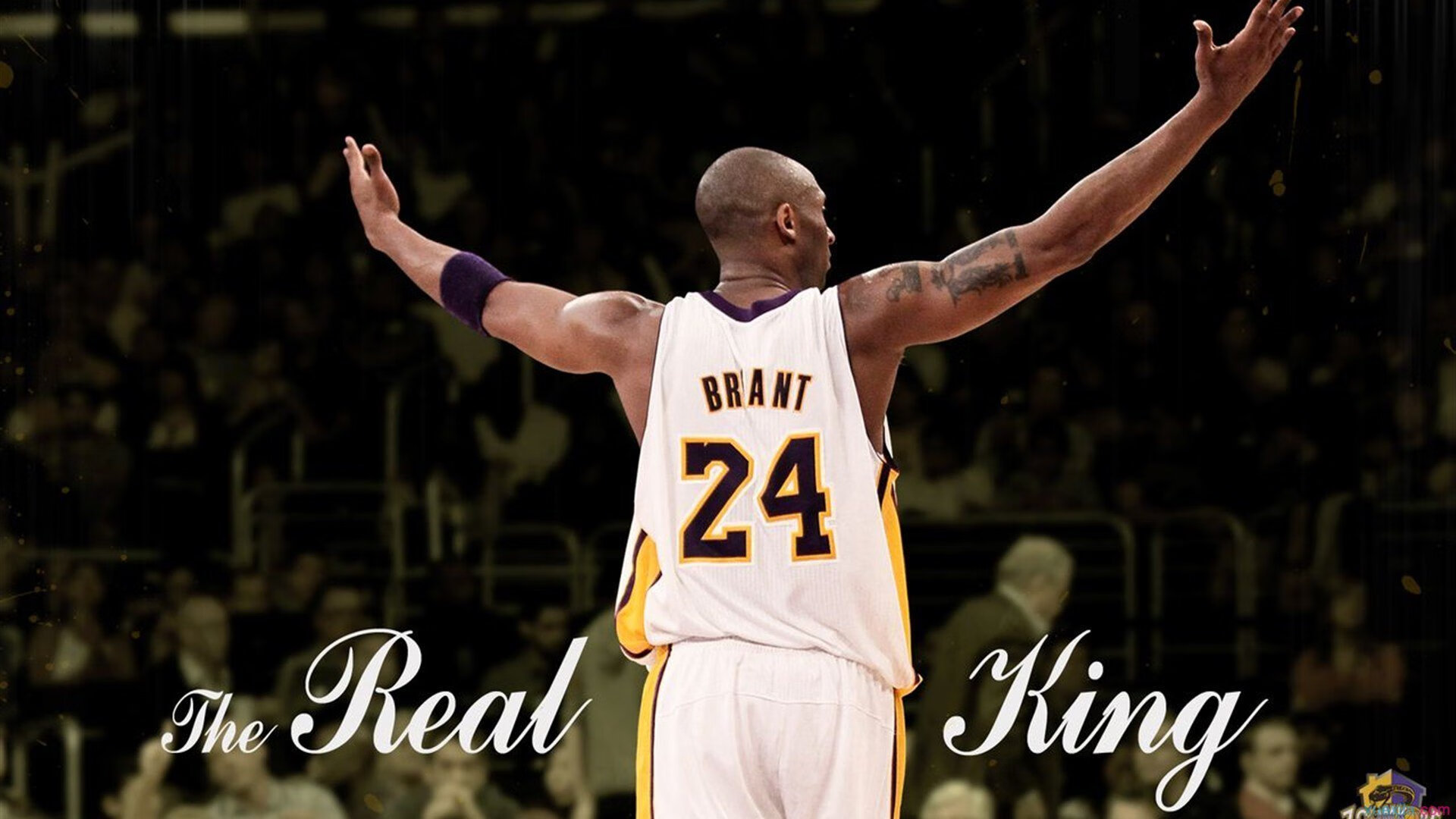 广东天赋股爆发，朱芳雨押宝成真，杜锋阵容添争冠利器，广东球队朱芳雨